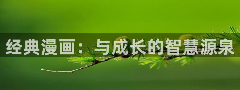 91风车动漫网专注动漫的门户网：经典漫画：与成长的智慧源泉