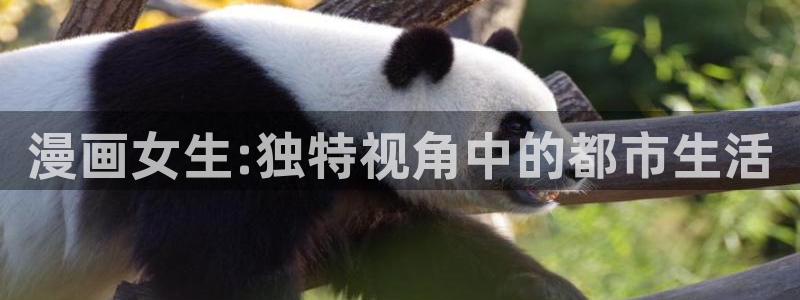 91漫画www在线观看黄色：漫画女生:独特视角中的都市生活