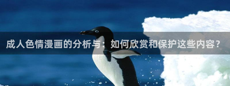 91动漫网站是多少：成人色情漫画的分析与：如何欣赏和保护这些内容？