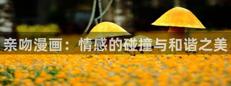 元龙漫画91：亲吻漫画：情感的碰撞与和谐之美